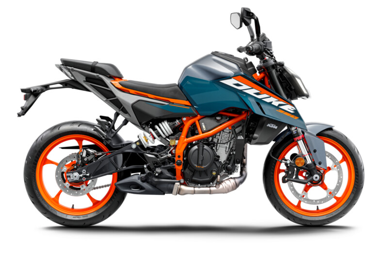 390 DUKE BLUE 2025